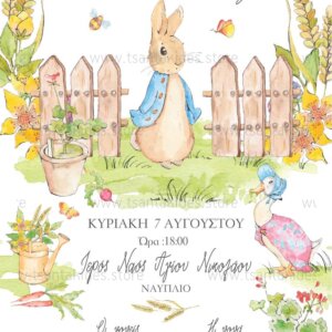 Προσκλητήριο βάπτισης για αγόρι με θέμα Peter Rabbit TS417