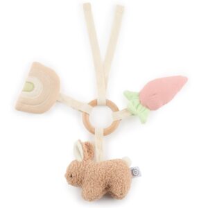 Bieco Βρεφικό Παιχνίδι Δραστηριοτήτων Λαγουδάκι Fine